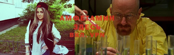 твердый Алексеевка