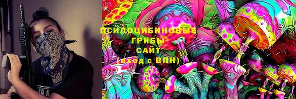 твердый Алексеевка