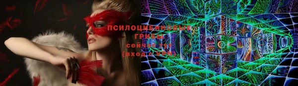 скорость Абаза