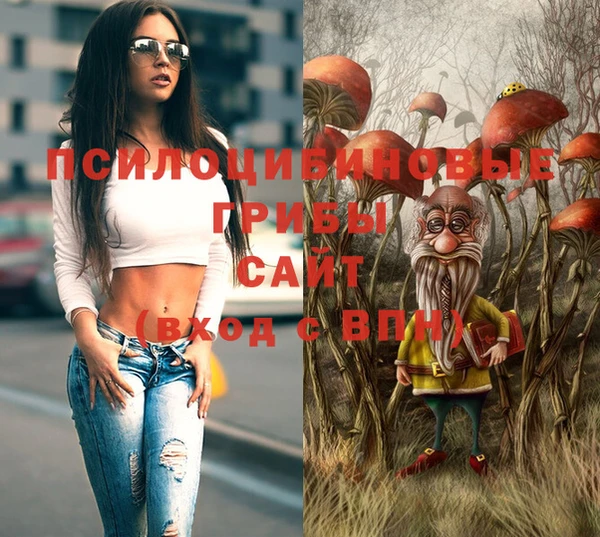 прущая мука Алзамай