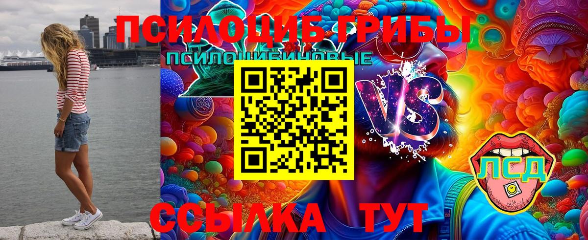 Алексин  Галлюциногенные грибы Cubensis  Вход с VPN 